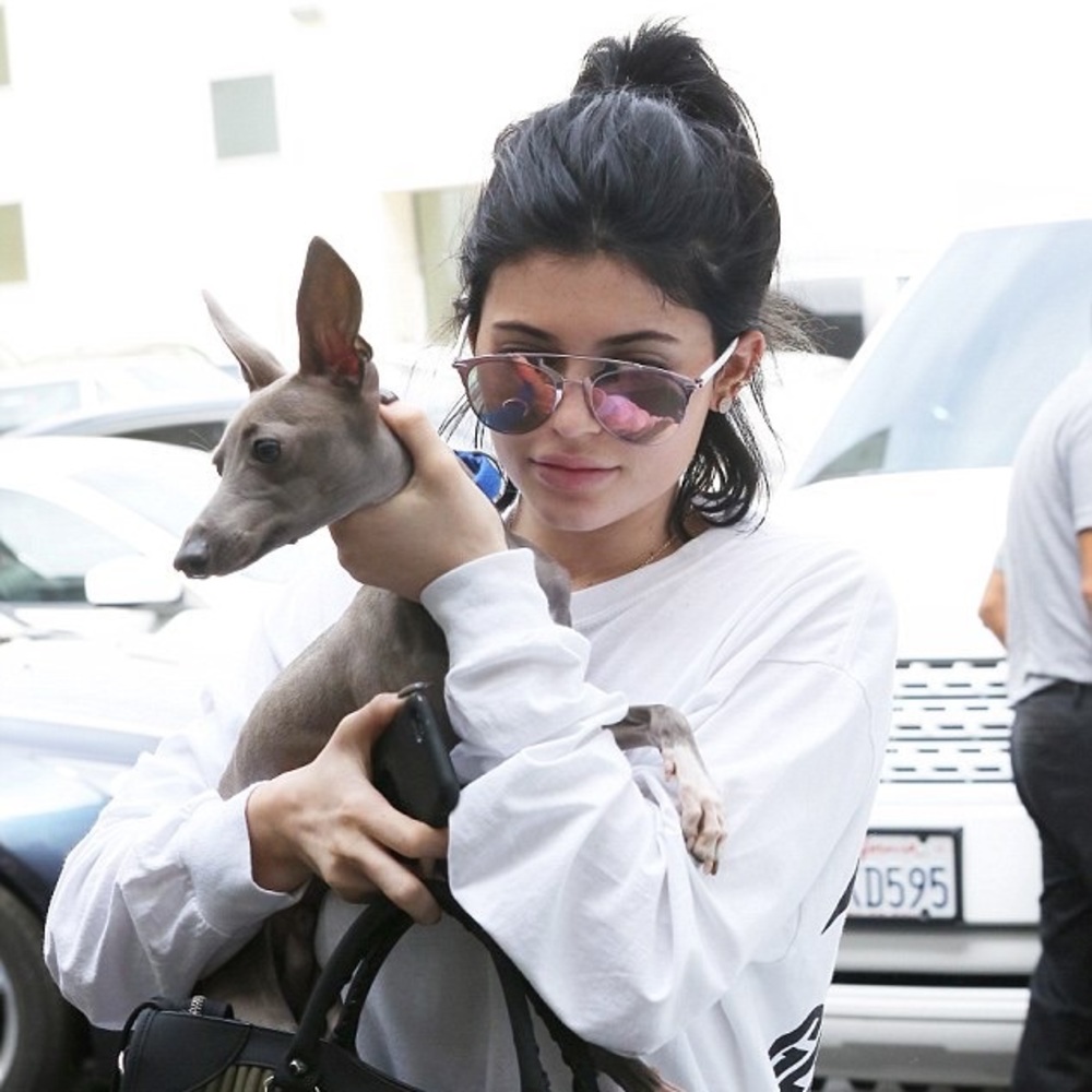 Authentic Dior Reflected sunglasses
